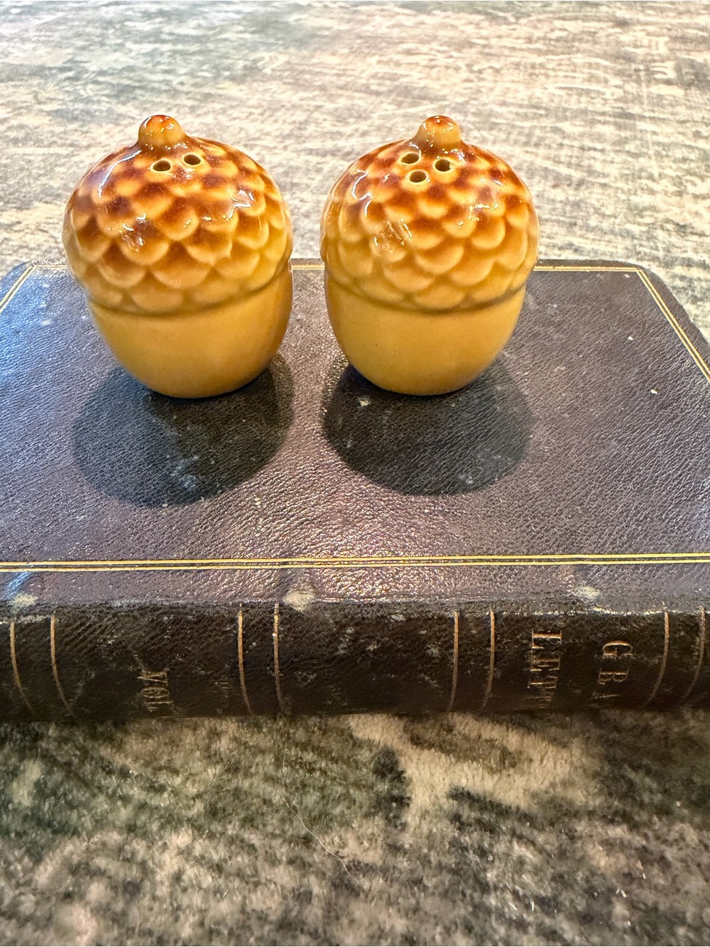 Vintage ceramic acorn salt and pepper shakers.